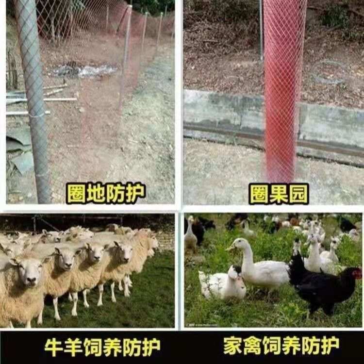 菱形钢板网铁丝网围栏网格网防护网鸡玉米网防鼠圈钢丝护栏拦养殖