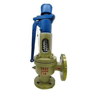 海一A48Y-16C弹簧全启式安全阀储气罐安全阀蒸汽锅炉安全阀泄压阀
