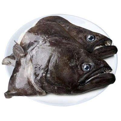 【上海24小时发货】格陵兰鲽鱼头鸦片鱼头雅片鱼头深海特大碟鱼头