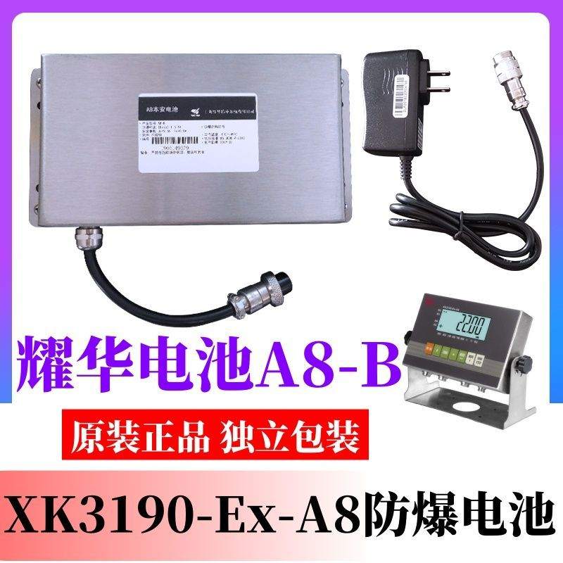 原装耀华XK3190-Ex-A8防爆本安型电池A8-P9.6V直插电源仪表电子秤