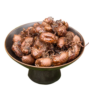 野生蝉蜕中药材水洗黑蚱蝉金蝉衣100克四川蚕蜕金蝉花山男经方缘