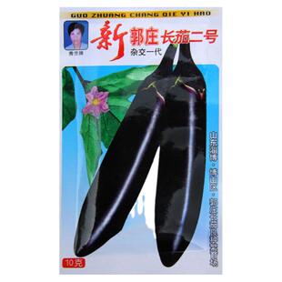 新郭庄长茄二号长茄种子王中王长茄种籽线茄种籽早熟高产蔬菜种孑