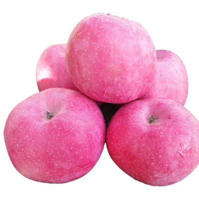 新鲜陕西宜君红富士生态果中级果宜君苹果山地种植 5斤助农包邮