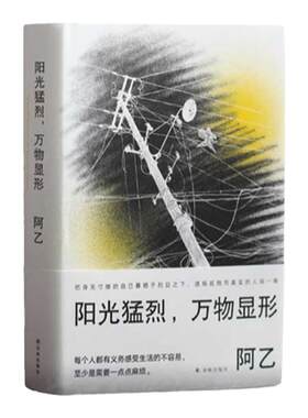 阳光猛烈 万物显形 阿乙作品以词典形式收录阿乙人生与写作的关键词 一本私人阅读和观影史作家成长指南豆瓣高分作品 译林出版社