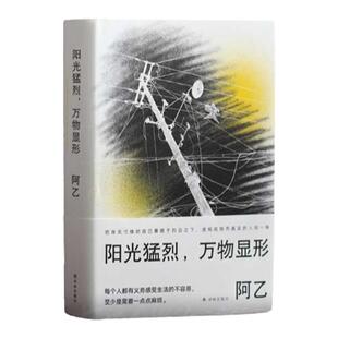 阳光猛烈 万物显形 阿乙作品以词典形式收录阿乙人生与写作的关键词 一本私人阅读和观影史作家成长指南豆瓣高分作品 译林出版社