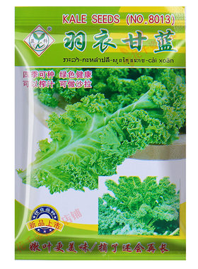 今年新种子买2送1羽衣甘蓝种子