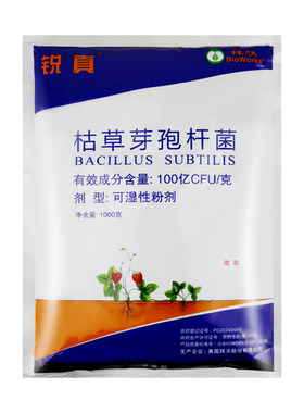 美国拜沃 锐真100亿枯草芽孢杆菌人参立枯病草莓白粉病农药杀菌剂