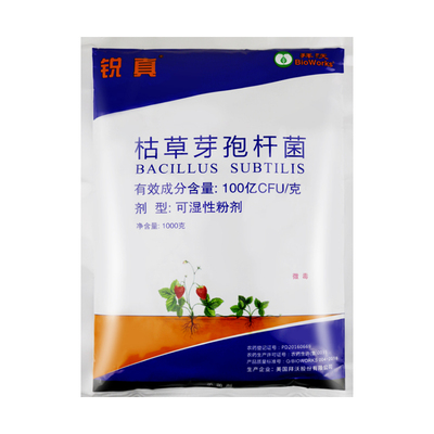 美国拜沃 锐真100亿枯草芽孢杆菌人参立枯病草莓白粉病农药杀菌剂