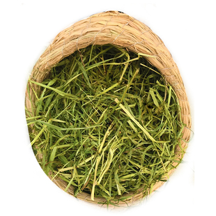 24提摩西新干草 提摩西草500g 荷兰猪饲料龙猫 提草 豚鼠兔粮牧草