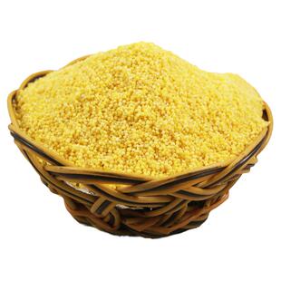 鸟不食毛谷种子 高产香甜谷子小米籽春夏季播 煮粥粘香口感香甜孑