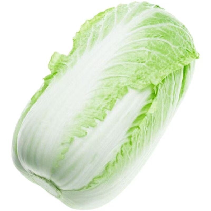 秋冬储大白菜种子特大包心白菜种蔬菜种子/种苗