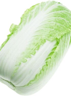 秋冬储38斤大白菜种子特大包心白菜种孑耐寒四季夏播高产蔬菜种