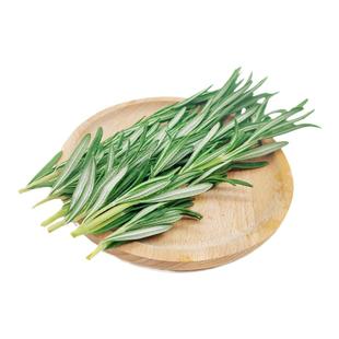 新鲜蔬菜迷迭香250g 马鞭草 昆明货 新鲜香料草酒店西餐调料摆盘