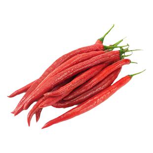 线椒种子二荆条辣椒籽特长农科院高产辣椒种子超辣盆栽长线椒秧苗