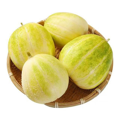 东北甜香瓜当季头茬现摘现发
