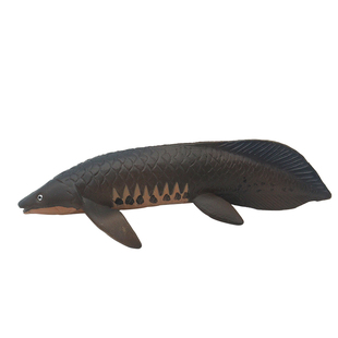 仿真海洋动物非洲肺鱼模型鲫鱼装饰玩具河豚鲤三文鱼儿童认知礼物
