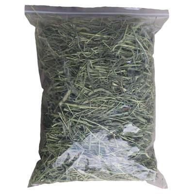 新草2025年头茬提摩西草北提龙猫豚鼠兔粮荷兰猪新鲜饲料5斤包邮