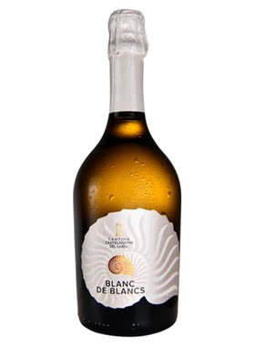 意大利贝壳白中白普罗塞克起泡酒