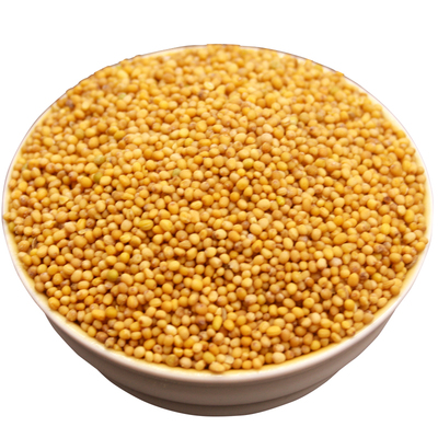 500g黄芥末籽内蒙酸黄瓜料