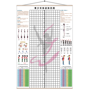青少儿体态评估表体适能舞蹈模特跆拳道培训身高体测矫正图墙纸布