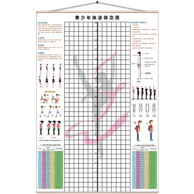 青少年儿童舞蹈体态评估表背景墙
