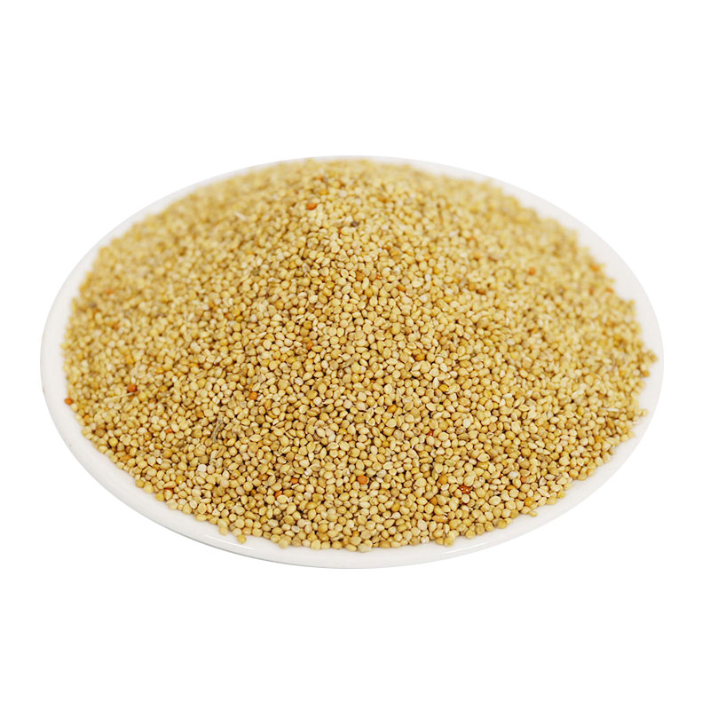 鹦鹉鸟粮饲料新黄谷子带壳小米虎皮鹦鹉饲料玄凤牡丹专用食物粮食