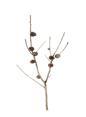 落地花瓶摆件森系松塔装饰干花