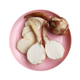 云南白茨菇新鲜包邮现挖白慈姑农家自种新鲜白马蹄大茨菇茨菰蔬菜