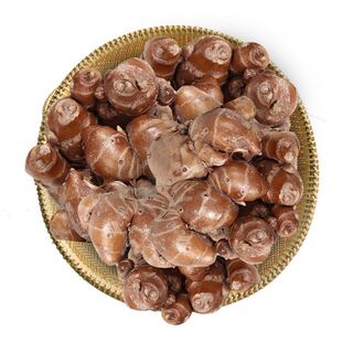 广东正宗新鲜沙姜自种/山奈白切鸡饭店酒店煲汤卤味配料生姜香料