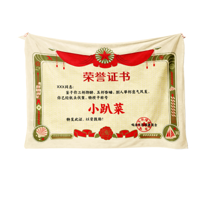 荣誉证书毛毯奖状盖毯午睡空调毯