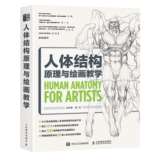 【凤凰新华书店旗舰店】人体结构原理与绘画教学肖玮春 游戏动漫人体结构造型手绘技法 人物绘画教程 画画入门自学