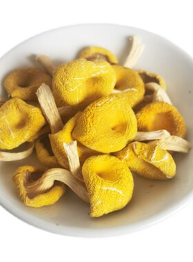 东北特产榆黄蘑干货蘑玉皇黄金菇