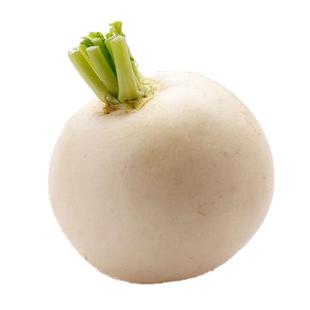 圆白萝卜种子春不老罗卜种籽冰糖糖晶白皮水果籽种秋季四季蔬菜孑