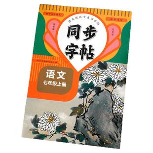 七年级上册下册语文同步字帖正楷人教版 初一7上正版钢笔硬笔书法生字练习中学生每日一练初中生课课练专用描红本练字帖zj