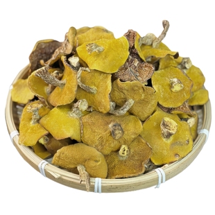 东北松蘑菇野生松蘑干货粘团子牛肝菌松树蘑菇松蛾子山货山珍特产