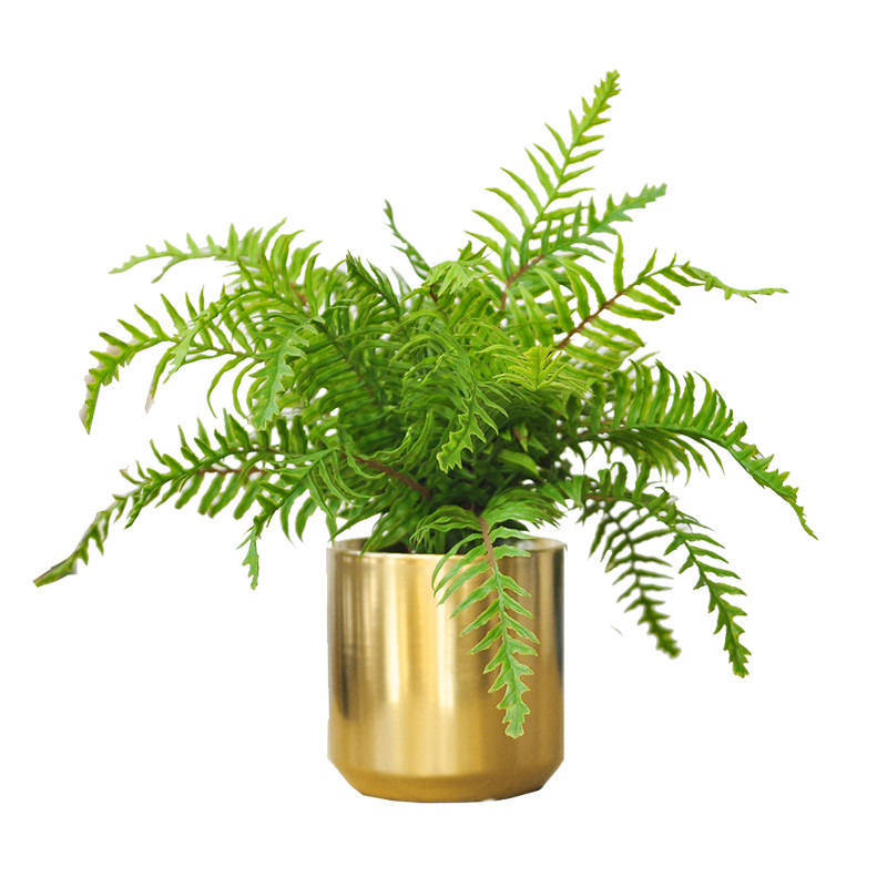 九思仿真蕨叶绿植物金色盆栽