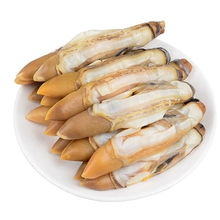 蛏子肉新鲜蛏子王鲜活冷冻竹蛏王圣子海蛏子贝类海鲜去壳速冻商用