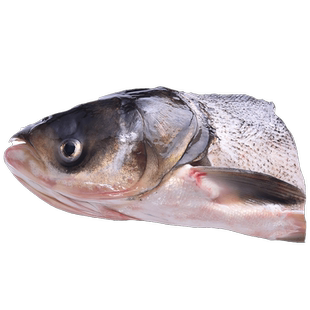 微山湖新鲜胖头鱼鲜鱼大花鲢鱼冷冻生鲜生态淡水鱼鲢鱼片鱼身鱼尾