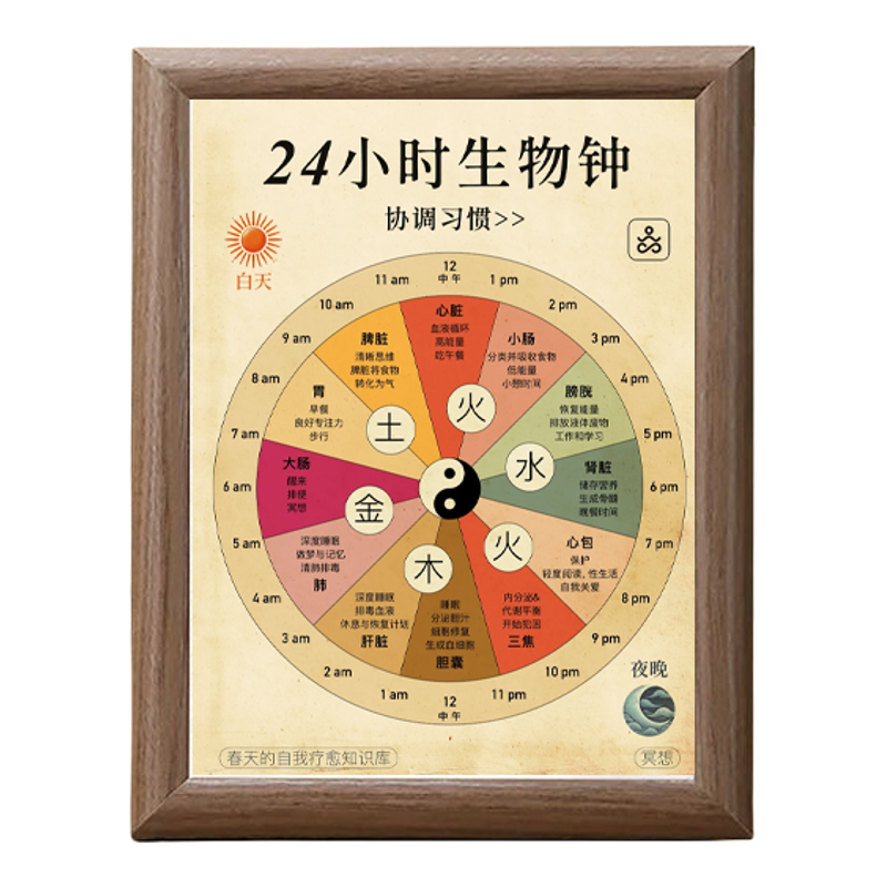 24小时人体生物钟疗愈相框摆件