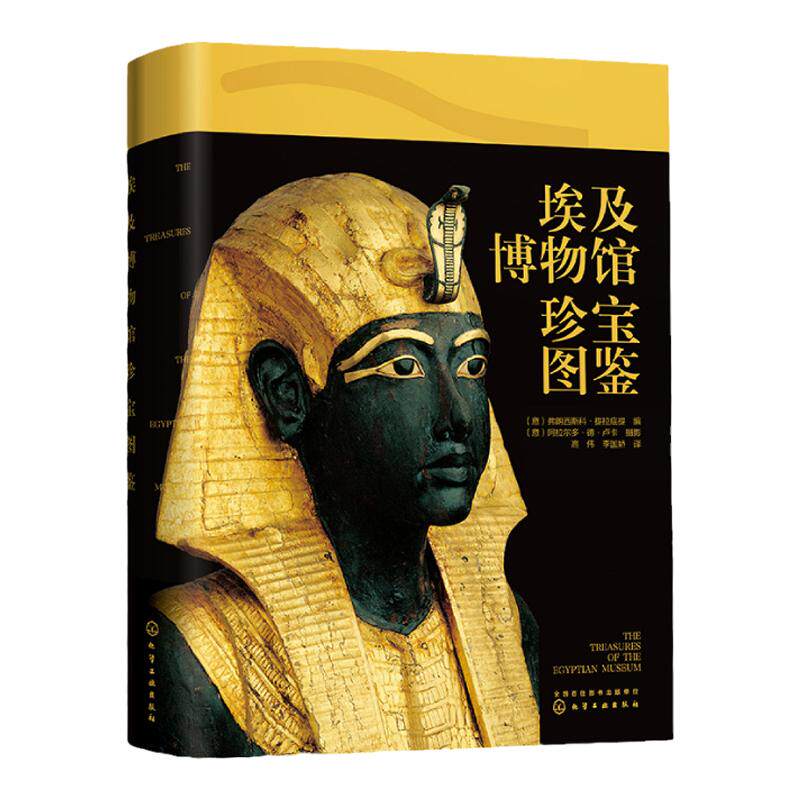 埃及博物馆珍宝图鉴 古埃及看得见的世界史 探秘世界文明古国奇迹金字塔故事埃及通史简史 儿童人文百科 中小学生历史科普类课外书