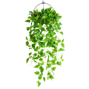 仿真植物吊篮塑料假花藤蔓绿萝叶子藤条吊兰室内绿植客厅壁挂装饰