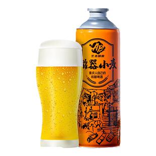 艺术精酿AB重庆啤酒磁器小麦精酿原浆麦芽聚会啤酒整箱送礼