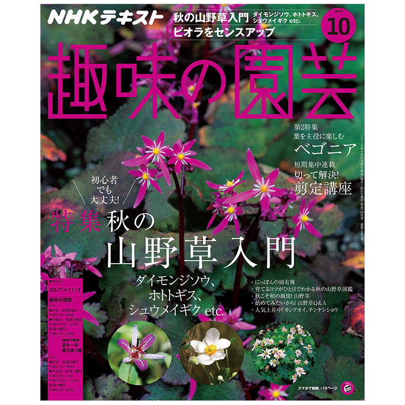 【订阅】 ＮＨＫ　趣味の園芸 愿意花艺杂志 日本日文原版 年订12期 E389 善本图书