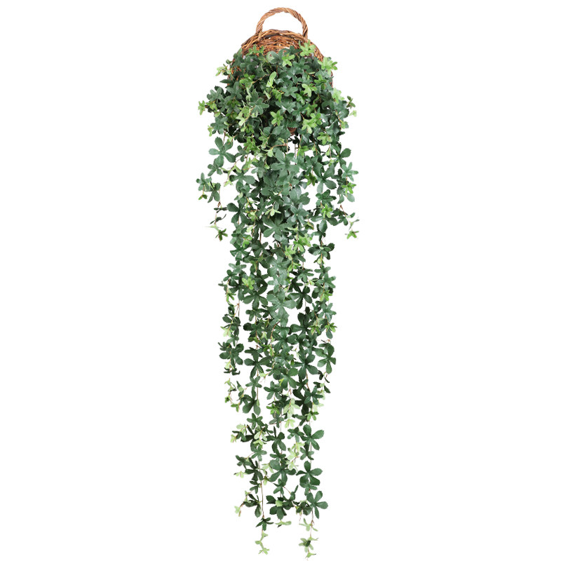 招财阳台塑料墙面绿树叶藤蔓植物