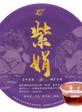云茶科技2024母本紫娟普洱茶熟茶