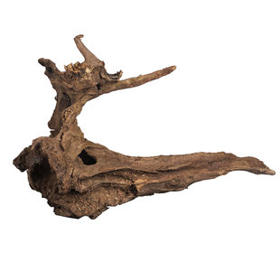 水沉枯木木雕花道搭配木头底座花艺设计创意盆景鱼缸阴沉木种苔藓