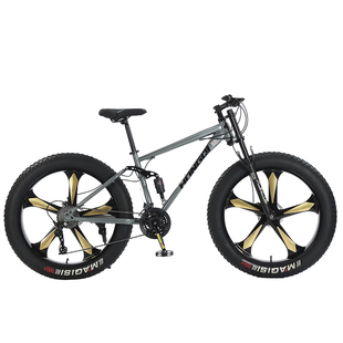 红旗青少年雪地车沙滩车山地车4.0超大宽轮胎成人男女变速越野车