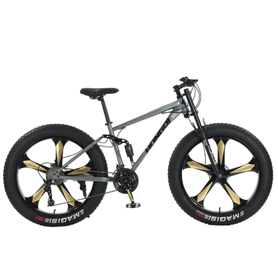 红旗碟刹男女软尾雪地车顺泰变速