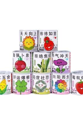 儿童迷你植物盆栽套|千人加购