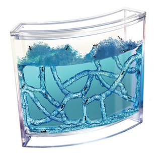 大号家养宠物玩具蚂蚁工坊蚂蚁城堡宫房宫殿家园别墅送蚂蚁生物课